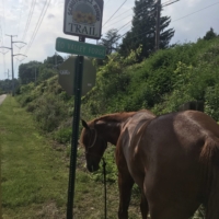 We survive Norristown, a heavily trafficked area, and hit the Schyulkill River Trail!