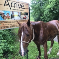 We have arrived at Valley Forge!! π