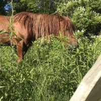 At least someone has their act together. (I'm kidding, we're dysfunctional co-dependents.)