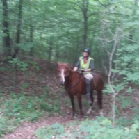 What began as a horrible, no good day, with me stumbling listlessly forward, ends on a high note: I ride Finley for the 1st time on our journey, like I never expected: bareback and in a rope halter!!! I have absolutely no real control over him, but it doesn't matter, because he never strays.