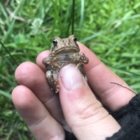 "Good sir, would you please put me down? This is undignified in the utmost way."