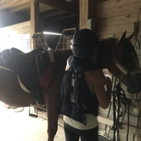 Kathy, an endurance rider and friend of Don's, joins me on her Arabian, Ghost!! She brushes out Finley's mane before we head out.