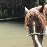 "Are you to talking to me??"