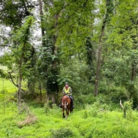 Don captures me and Finley in action on the HST!