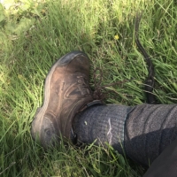 I twist my ankle, terribly. I keep doing this. This is the most agonizing incident yet.