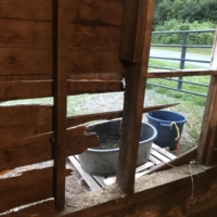 Finley got in a fight with my host's horses last night through the window of the barn and kicked the barn wall to smithereens. I didn't hear a thing. Except for one ferocious, high pitched squeal, like a velociraptors call, before I fell asleep. Finley says "I regret nothing." I am terribly sorry and leave $200 for repairs.