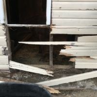 My host comes into the barn at 5:30 a.m. I'm meant to be up, too, since she has to leave early for work. She sees the damage before I do and rouses me.