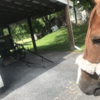 We spy Finley's worst nightmare slumbering in its den and creep quietly by ....