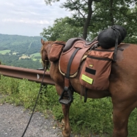 Finley catches his breath while admiring the view of the valley below that we just came from.