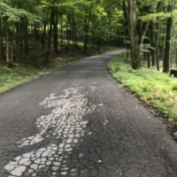 The path up to Rothrock State Forest.