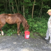 I was planning to camp at Rothrock State Forest when a family I met at the gas station, who are AT enthusiasts and awesome human beings, invited us over instead!