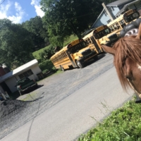 I love exposing Finley to new things, like this herd of school buses!