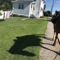 Finley bravely marches past this clothing line in Roaring Springs!