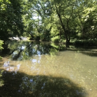 Finley & I sneak across the monastery's land and across the creek to avoid a lengthier detour around the downed bridge. The water is no higher than my waist.