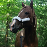 Finley, poised and regal