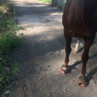 We cross our first grated bridge over a small creek!